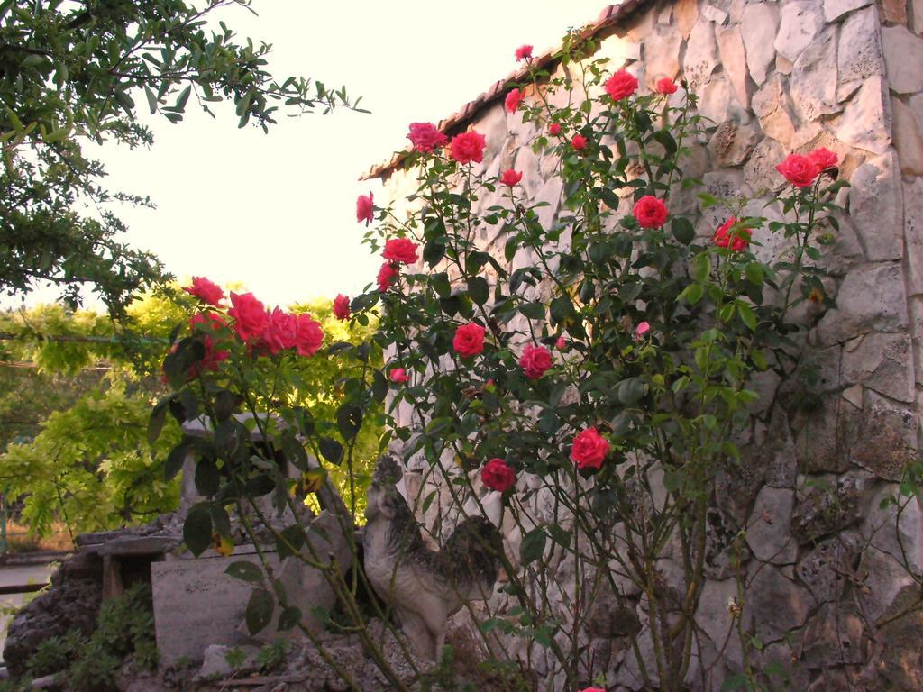 Agriturismo Valle Verde Altamura Ngoại thất bức ảnh