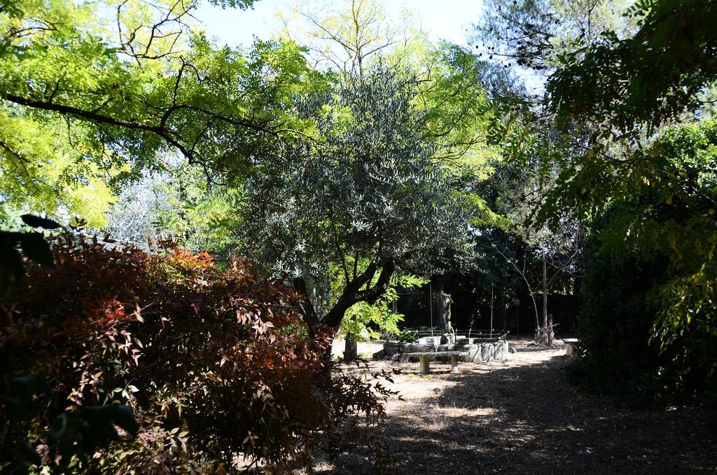 Agriturismo Valle Verde Altamura Ngoại thất bức ảnh