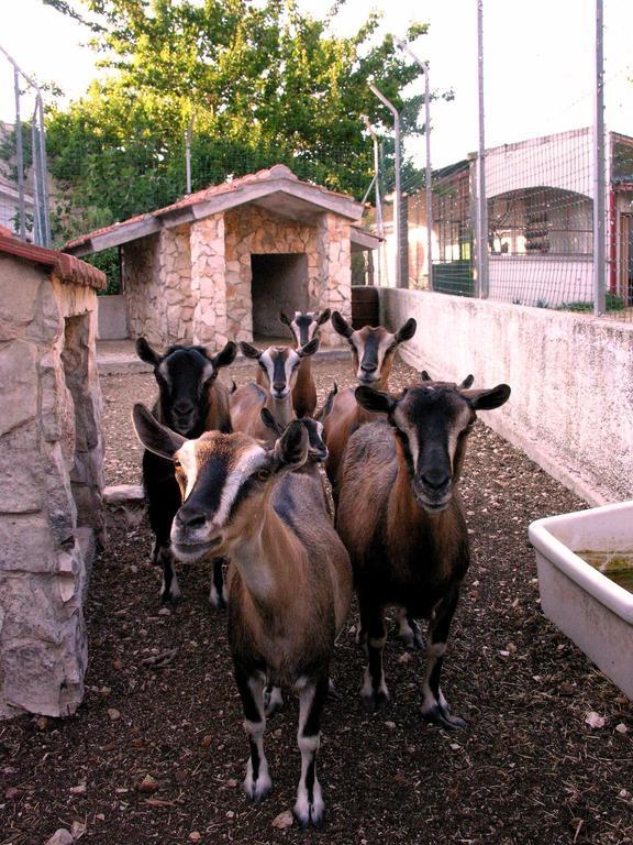 Agriturismo Valle Verde Altamura Ngoại thất bức ảnh